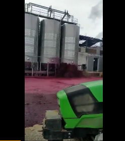 西班牙小鎮(zhèn)5萬(wàn)升紅酒桶破裂